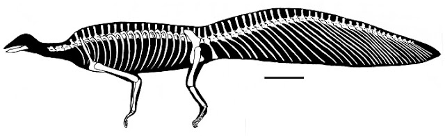 ARen Advertising Dar Issue Nº 1291 by Advertising Dar - Issuu